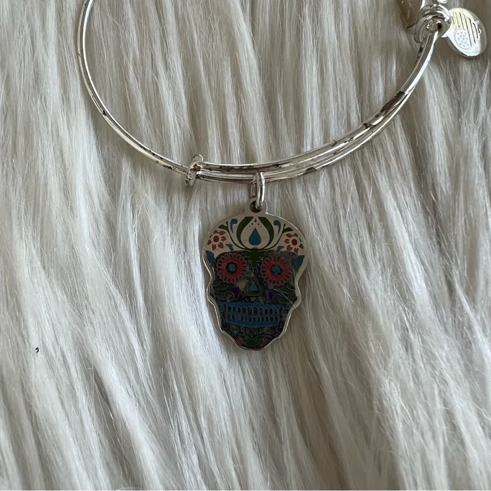 Alex and Ani Shiny Silver Sugar Skull Colored Charm Bangle Bracelet - Picture 2 of 2
